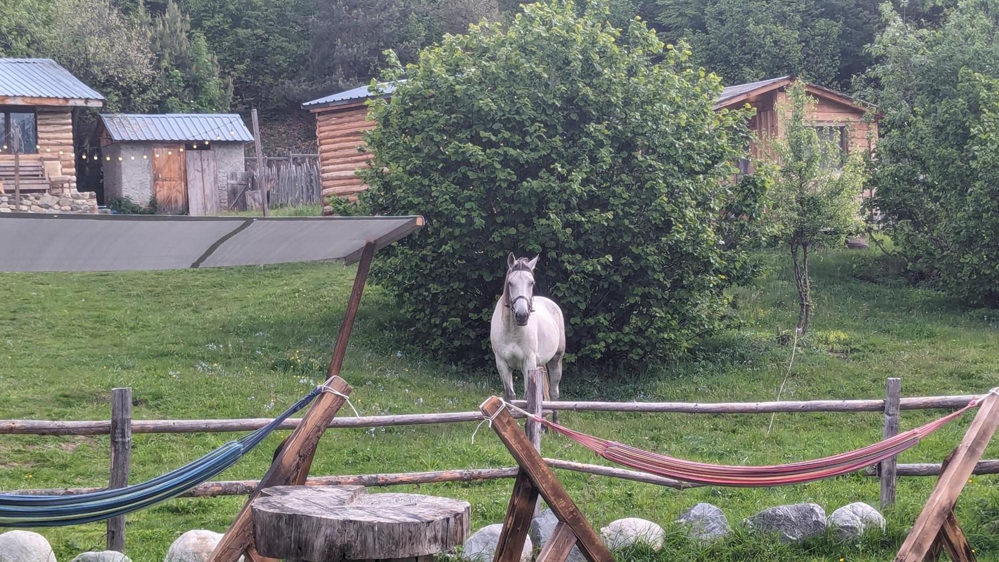 Heshkili Huts Svaneti Keshkili Luaran gambar